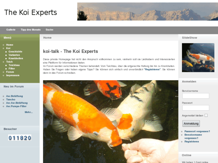 www.koi-talk.info