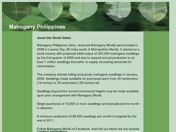 www.mahoganyphilippines.com