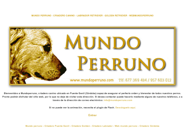 www.mundoperruno.com