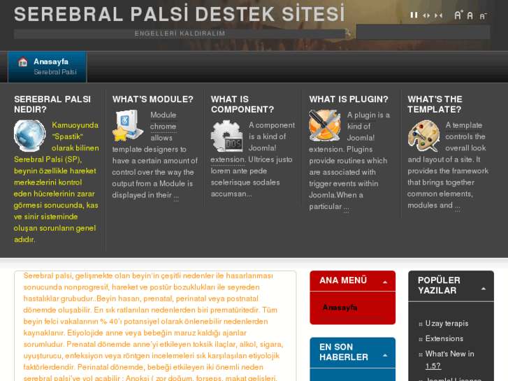 www.serebralpalsi.org