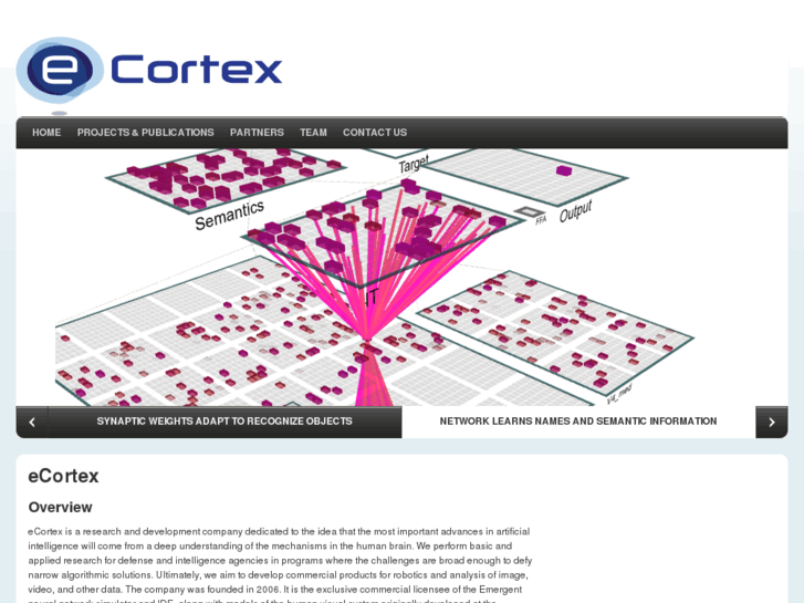 www.e-cortex.com