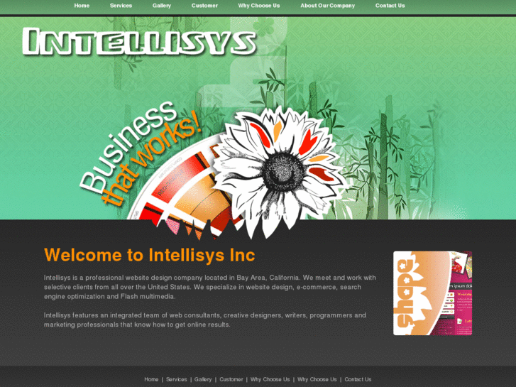 www.intellisyssolutions.com