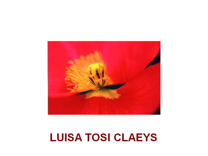 www.luisatosiclaeys.com