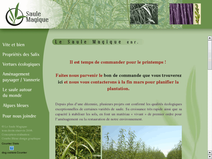www.saulemagique.com