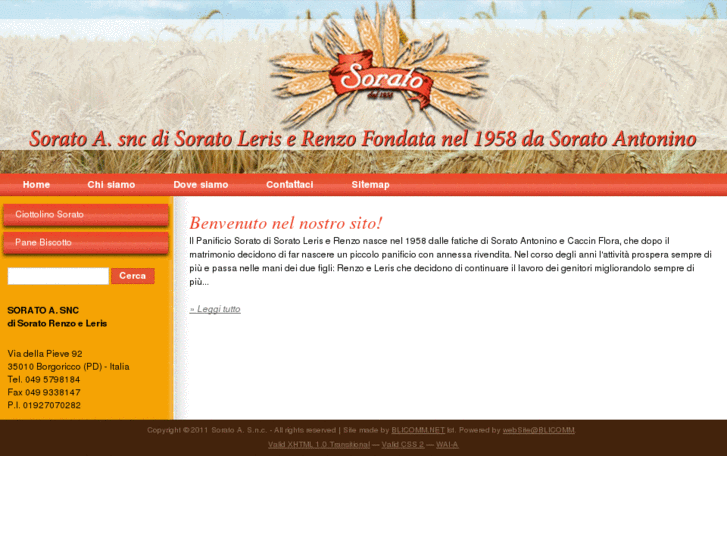 www.soratoa.com