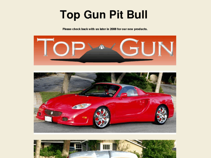 www.topgunpitbull.com