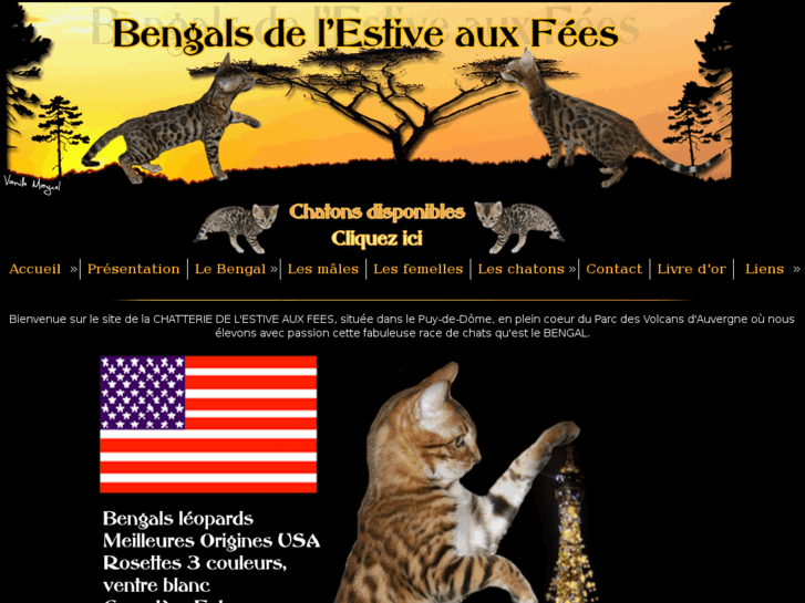 www.bengalsdelestiveauxfees.com