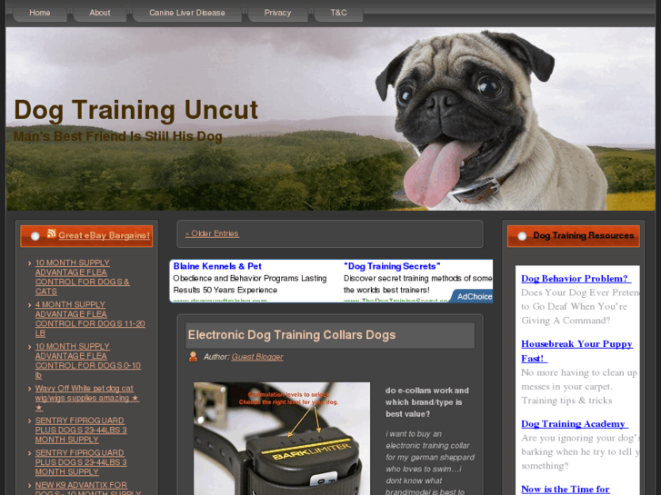 www.dogtraininguncut.com