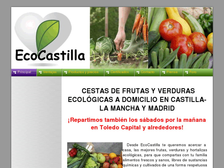 www.ecocastilla.com