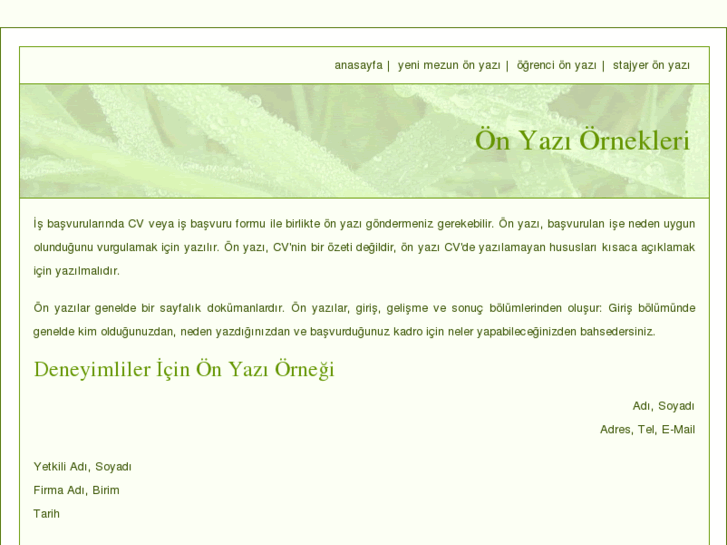 www.onyaziornekleri.com