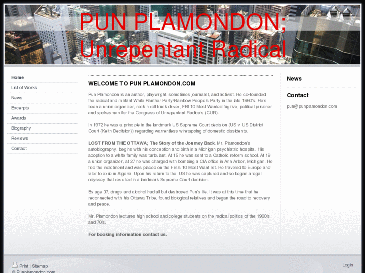 www.punplamondon.com