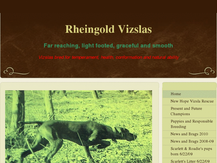 www.rheingoldvizslas.com