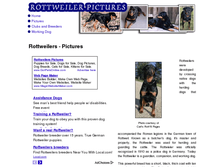 www.rottweilers-pictures.com
