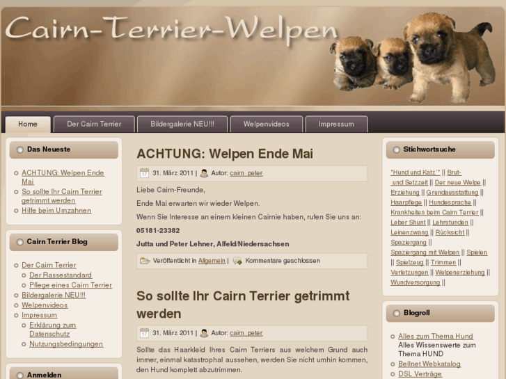 www.cairn-terrier-welpen.info