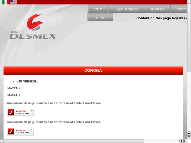 www.desmex.com