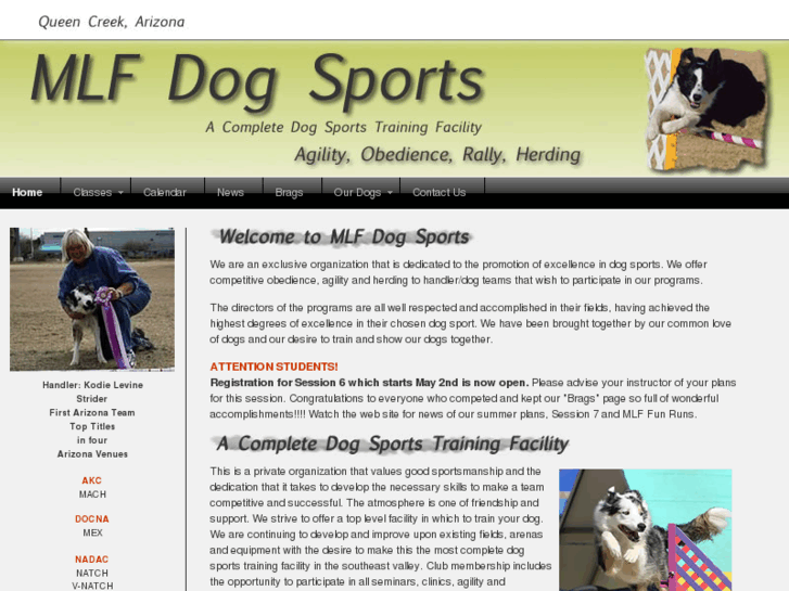 www.mlfdogsports.com