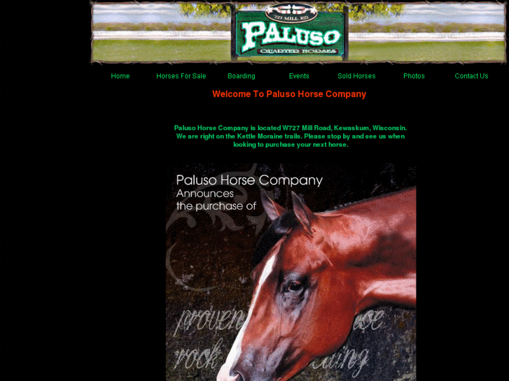 www.palusoquarterhorses.com