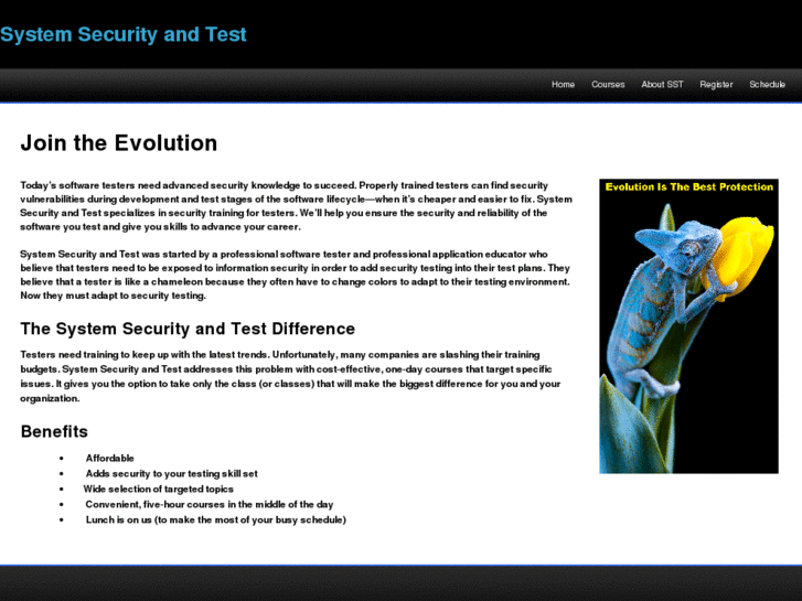 www.systemsecurityandtest.com