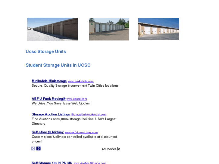 www.thestorageunits.com