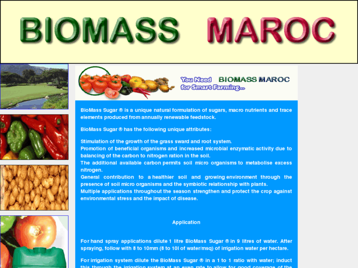 www.biomassmaroc.com