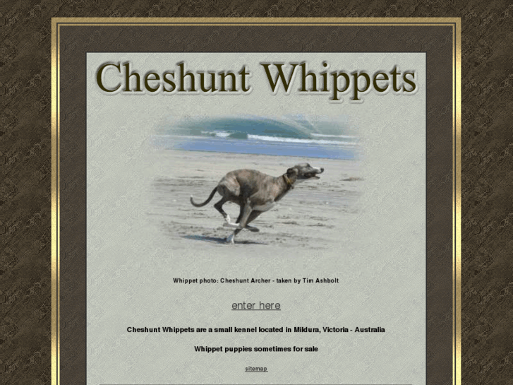 www.cheshuntwhippets.com