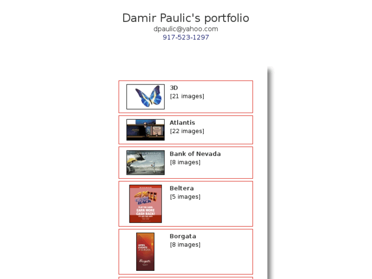 www.damirpaulic.com