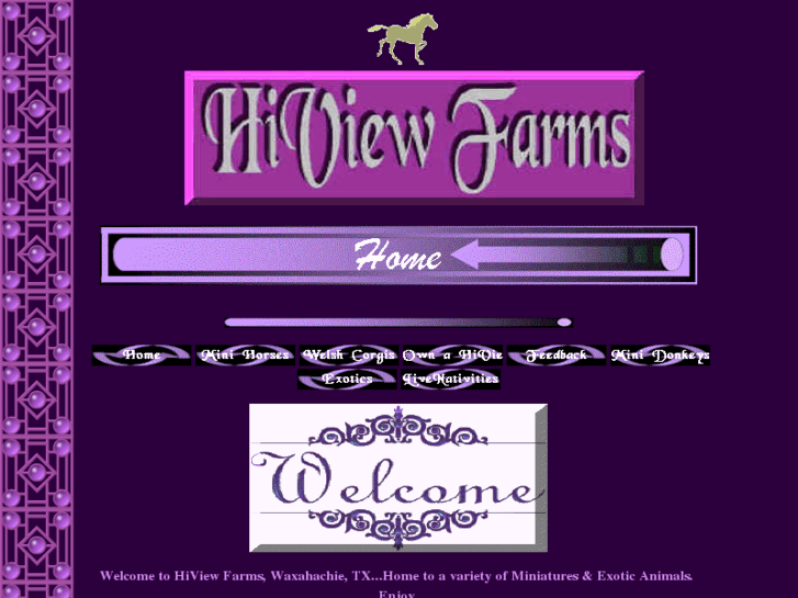 www.hiviewfarms.com