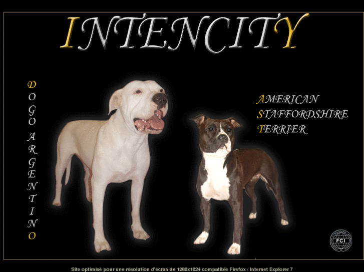 www.intencitykennel.com