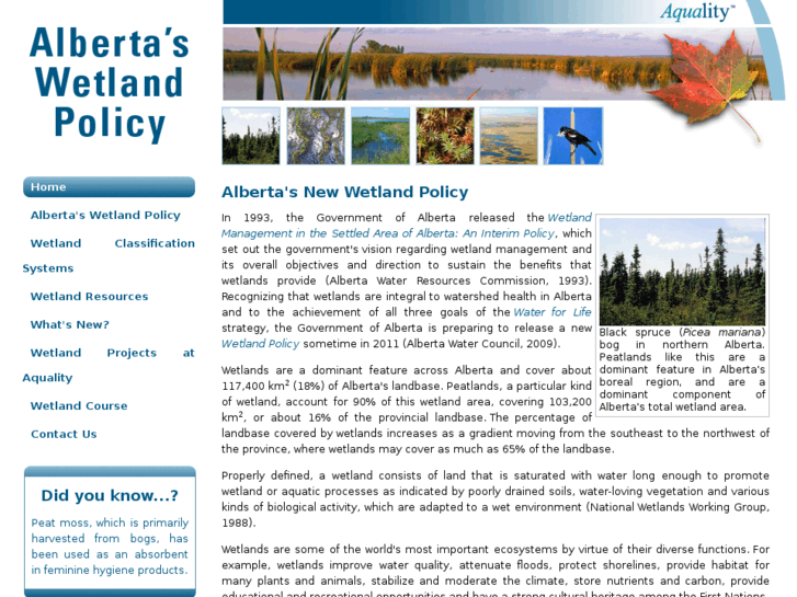 www.wetlandpolicy.ca