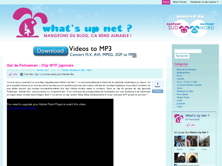 www.whatsupnet.com