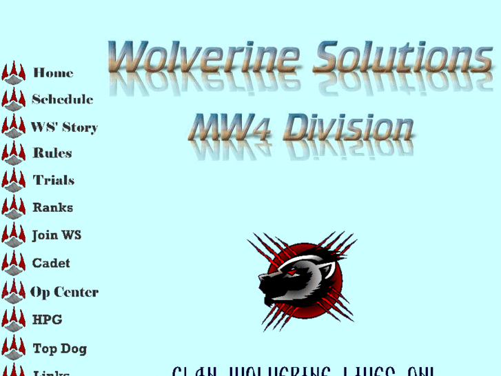 www.wolverinesolutions.com