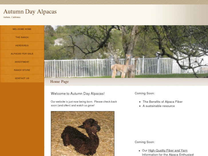 www.autumndayalpacas.com