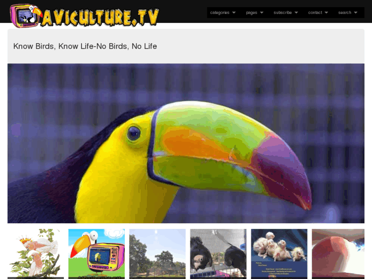 www.aviculture.tv