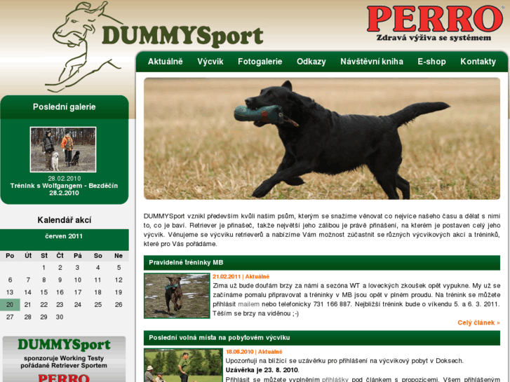 www.dummy-sport.cz