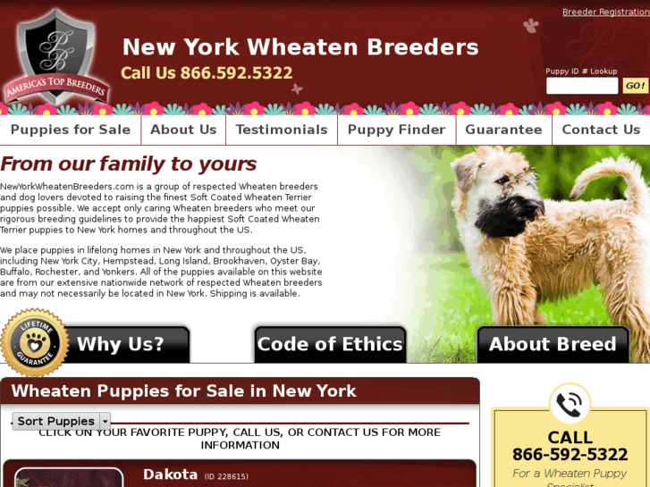 www.newyorkwheatenbreeders.com