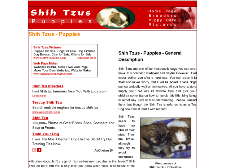 www.shih-tzus-puppies.com