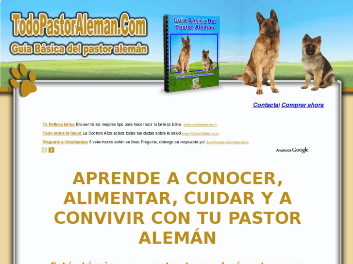 www.todopastoraleman.com