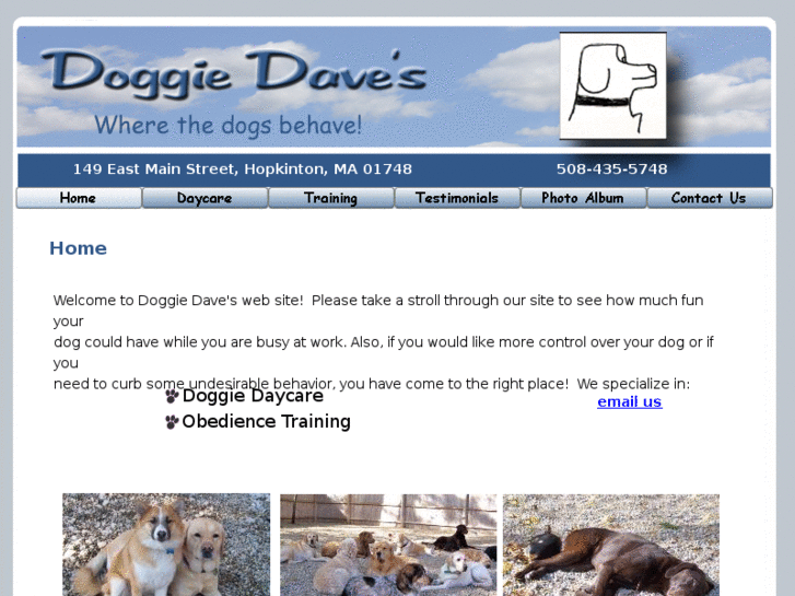 www.doggiedaves.com