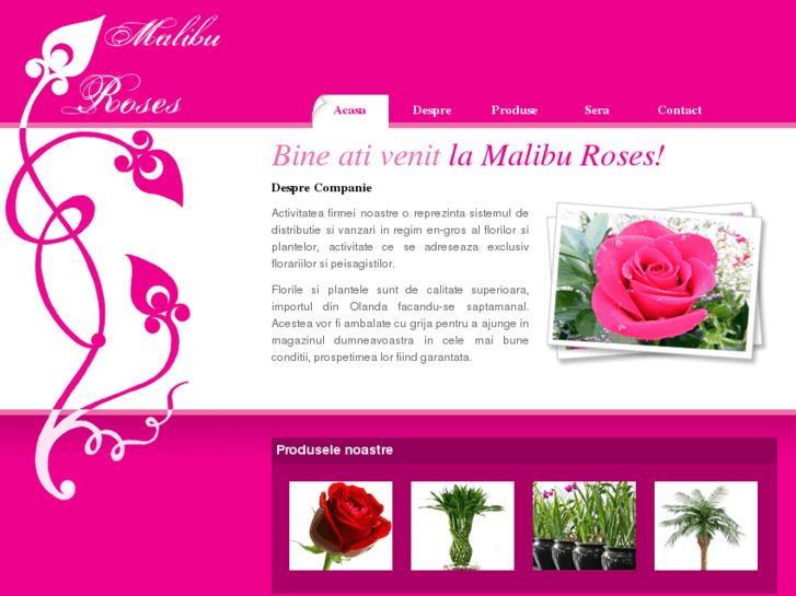 www.maliburoses.ro