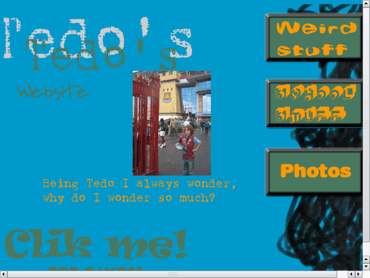 www.tedo.net