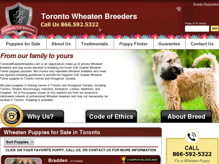 www.torontowheatenbreeders.com