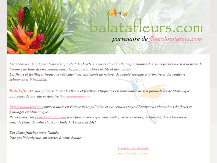 www.balatafleurs.com