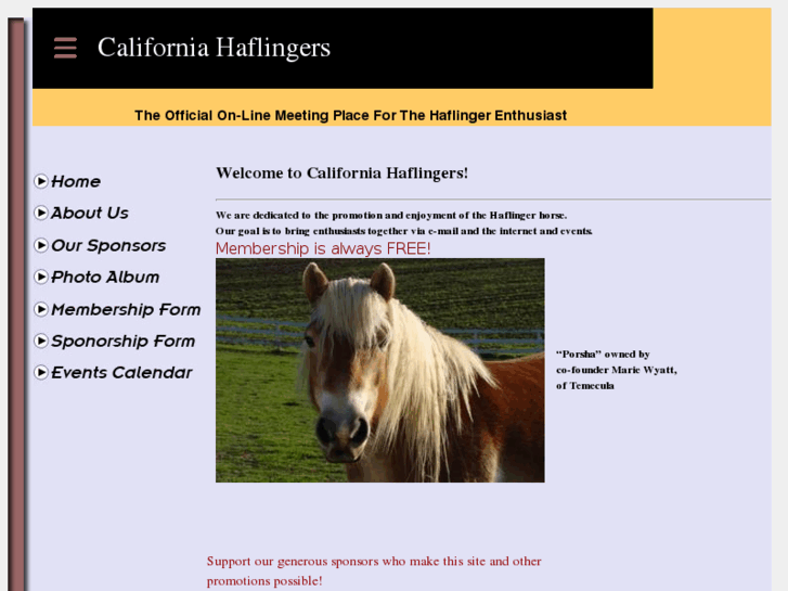 www.californiahaflingers.org