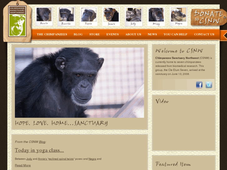 www.chimpsanctuarynw.org