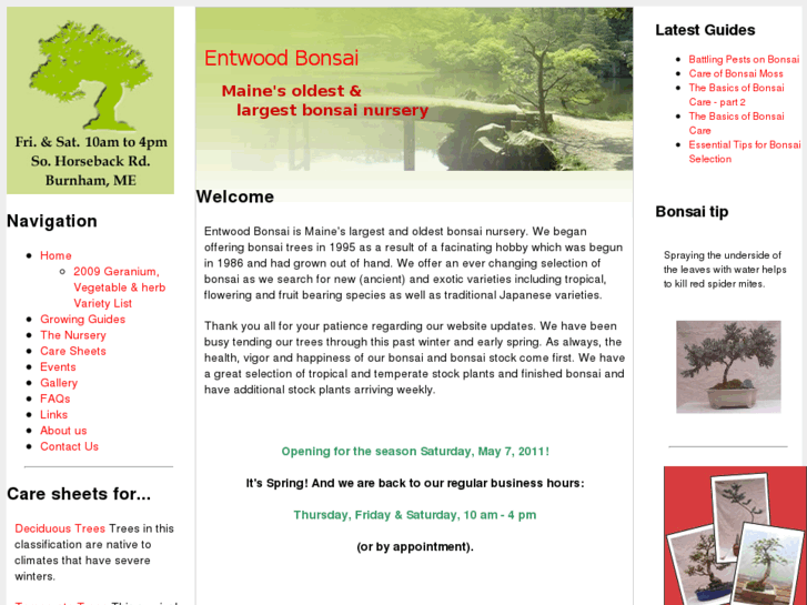 www.entwoodbonsai.com