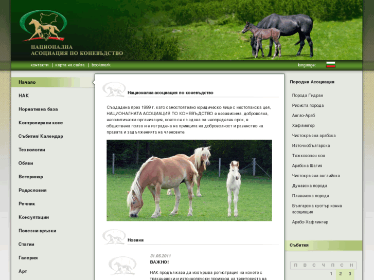 www.horsesbg.com
