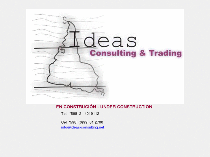 www.ideas-consulting.net