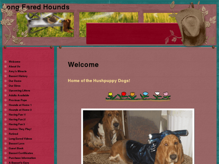 www.longearedhounds.com