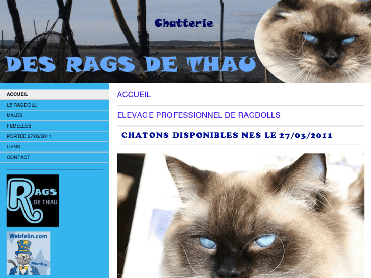 www.ragsdethau.com