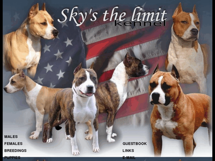 www.skysthelimitamstaff.com